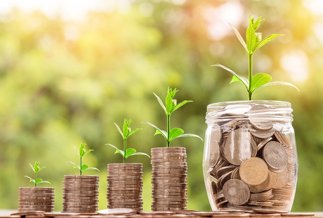 money, coin, investment, business, finan