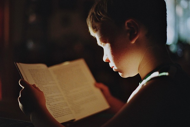 boy, book, reading, literature, read, ed